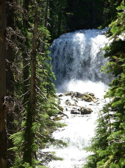 Summer '06 Sunriver 295 